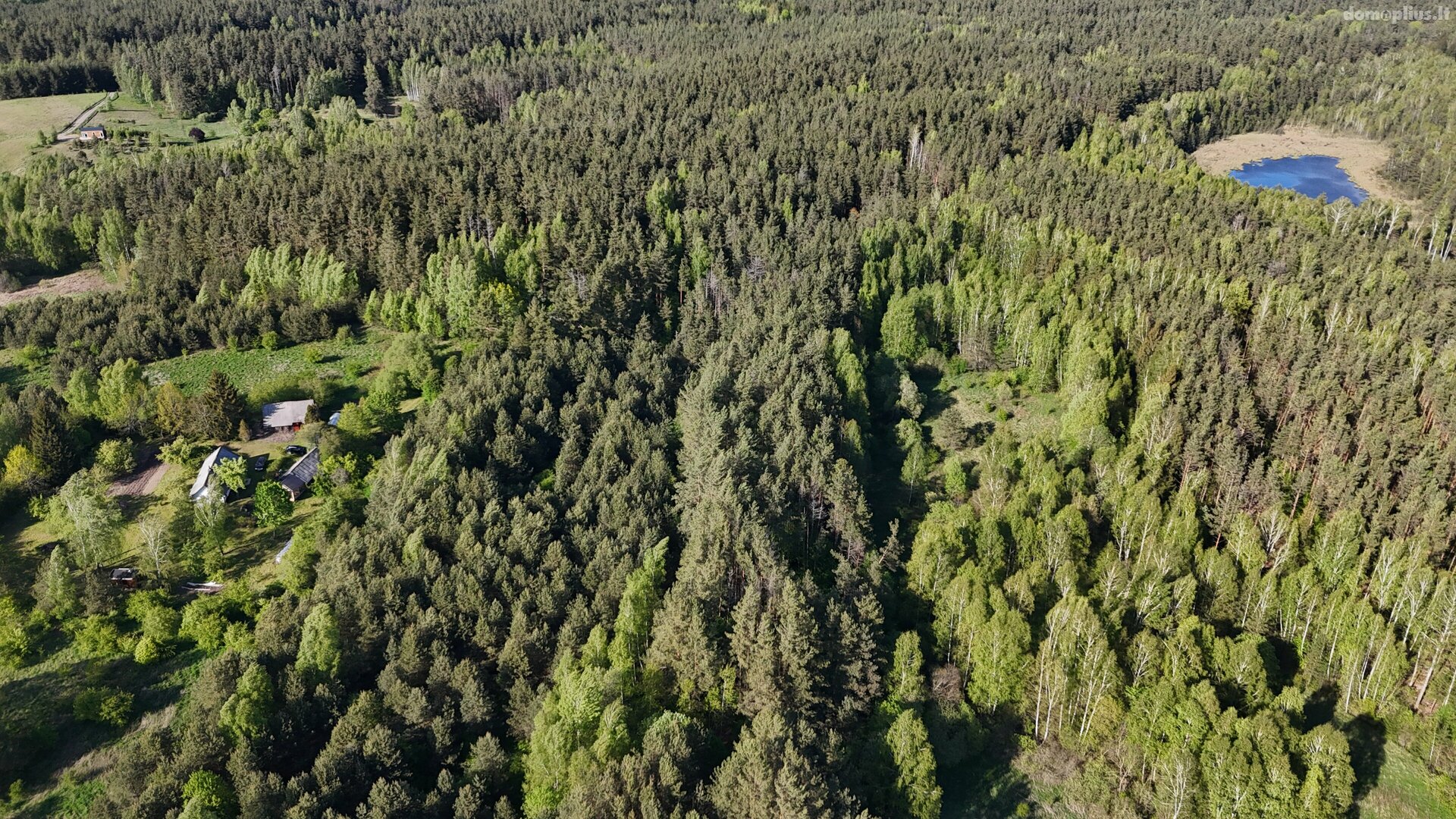 Parduodamas sklypas Molėtų rajono sav., Naraginėje