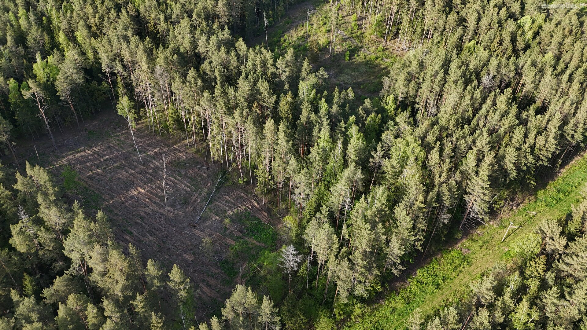 Parduodamas sklypas Molėtų rajono sav., Naraginėje