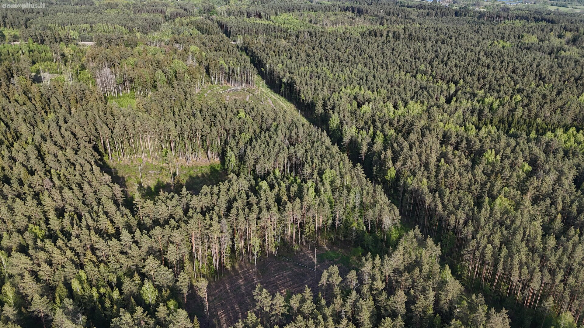 Parduodamas sklypas Molėtų rajono sav., Naraginėje