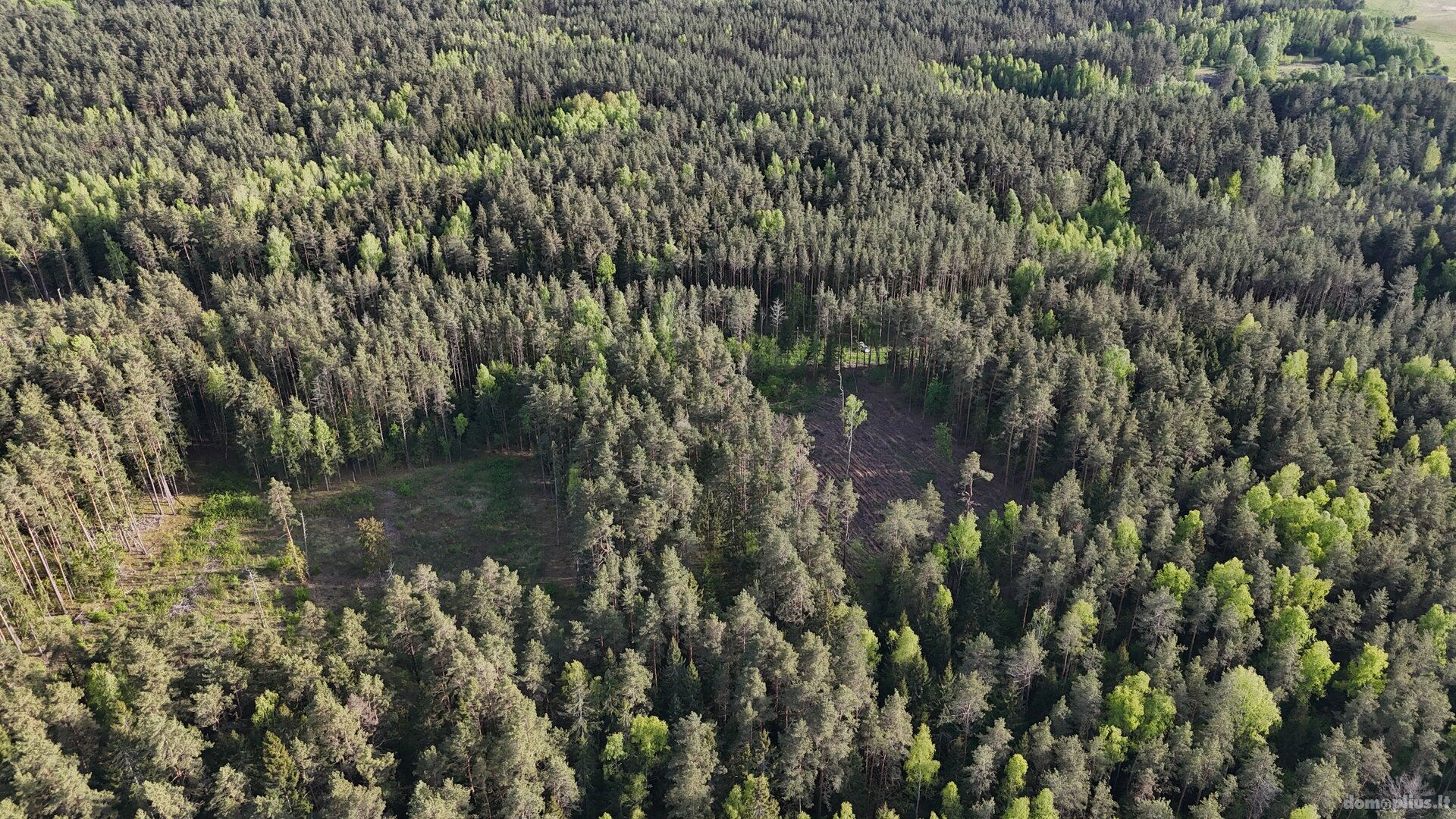 Parduodamas sklypas Molėtų rajono sav., Naraginėje