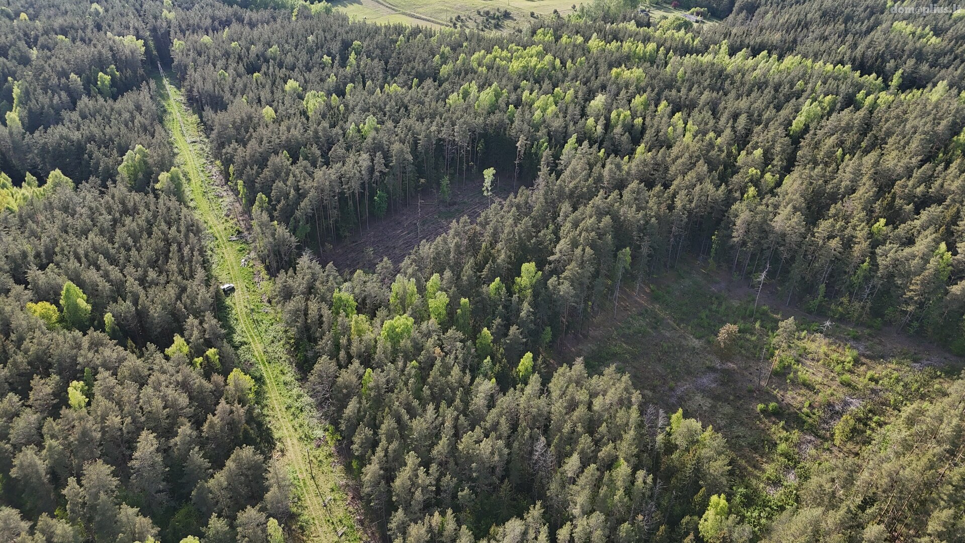 Parduodamas sklypas Molėtų rajono sav., Naraginėje