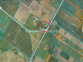 Sklypas Šiaulių rajono sav., Sutkūnuose