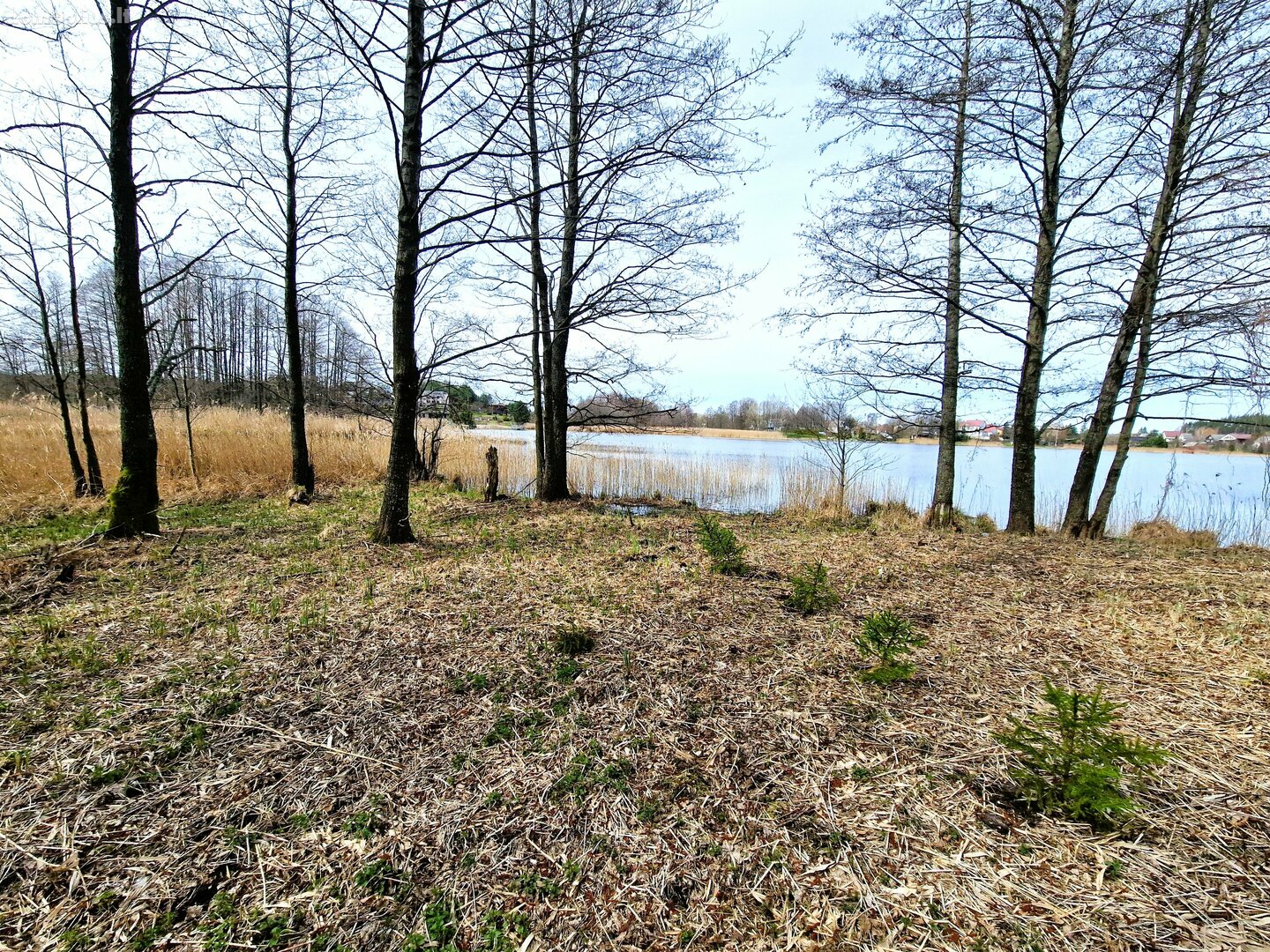 Parduodamas sklypas Lazdijų rajono sav., Papalazdijai II