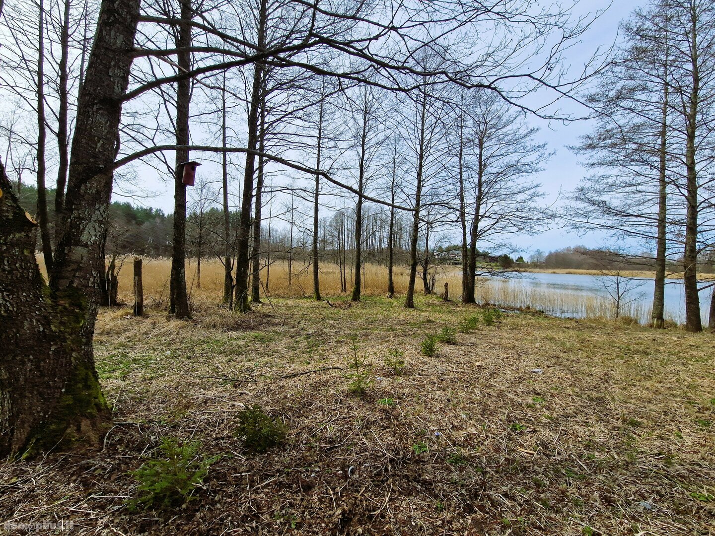 Parduodamas sklypas Lazdijų rajono sav., Papalazdijai II