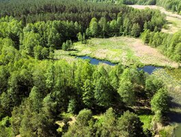 Parduodamas sklypas Lazdijų rajono sav., Papalazdijai II