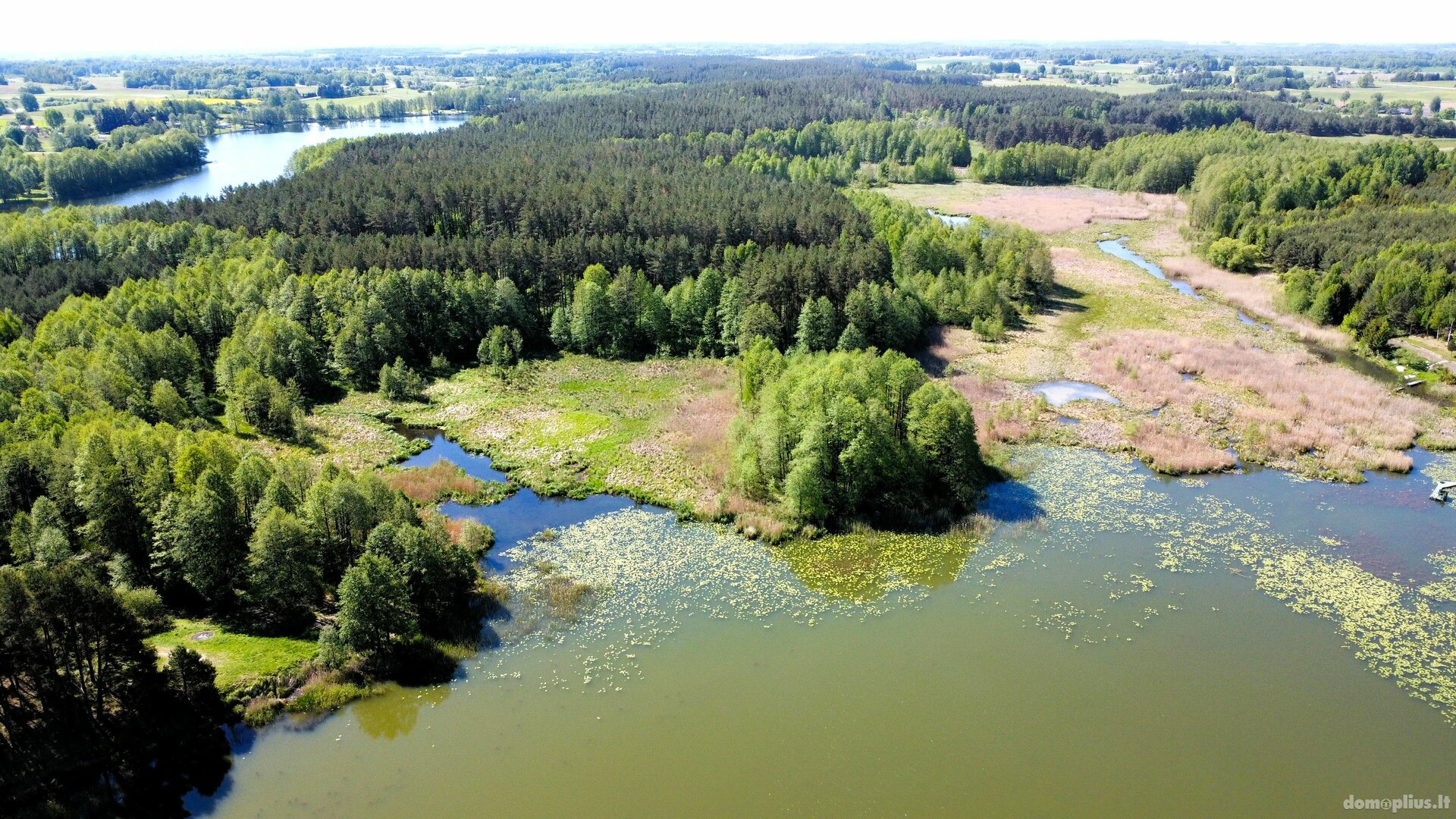Parduodamas sklypas Lazdijų rajono sav., Papalazdijai II
