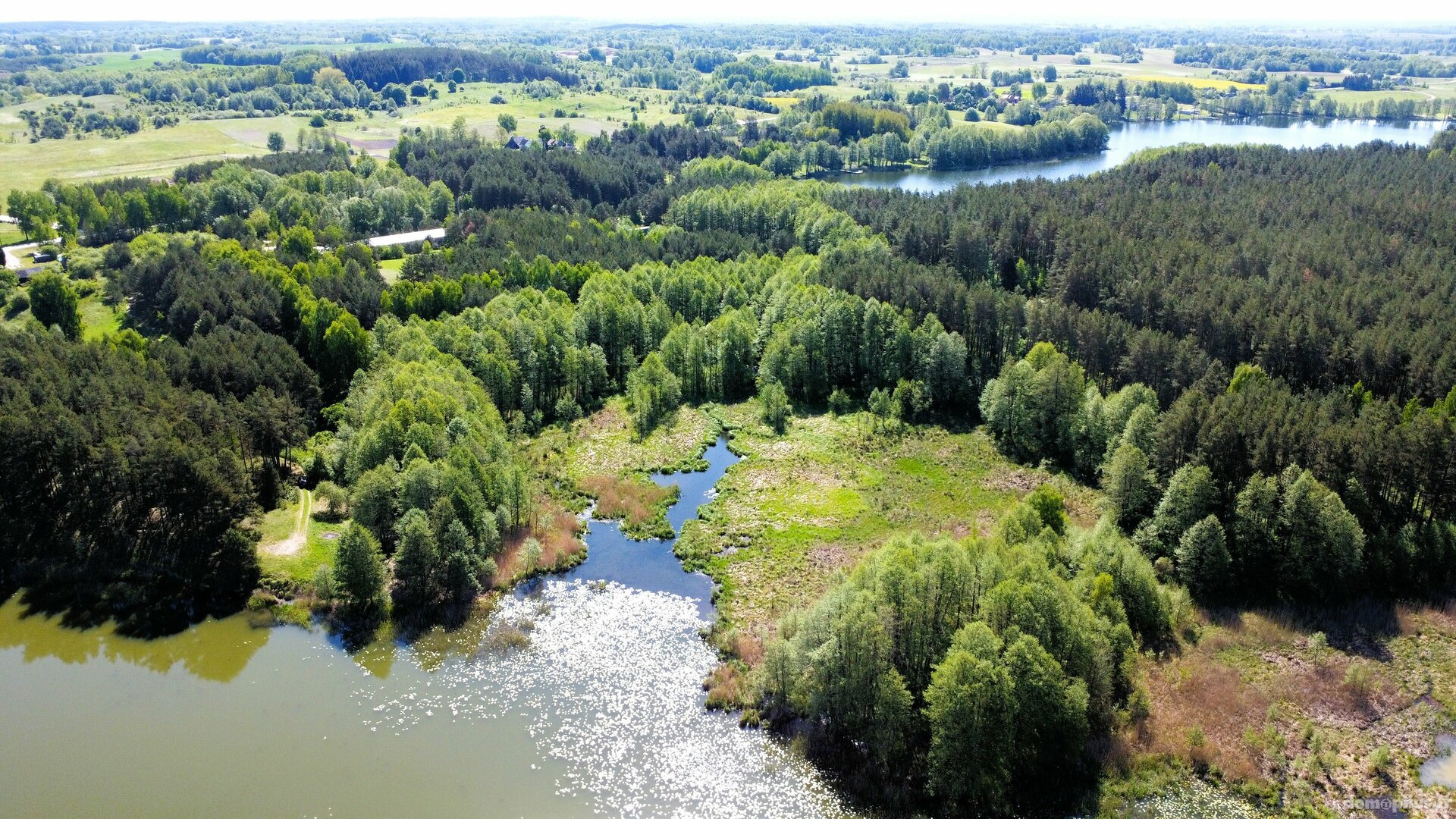 Parduodamas sklypas Lazdijų rajono sav., Papalazdijai II