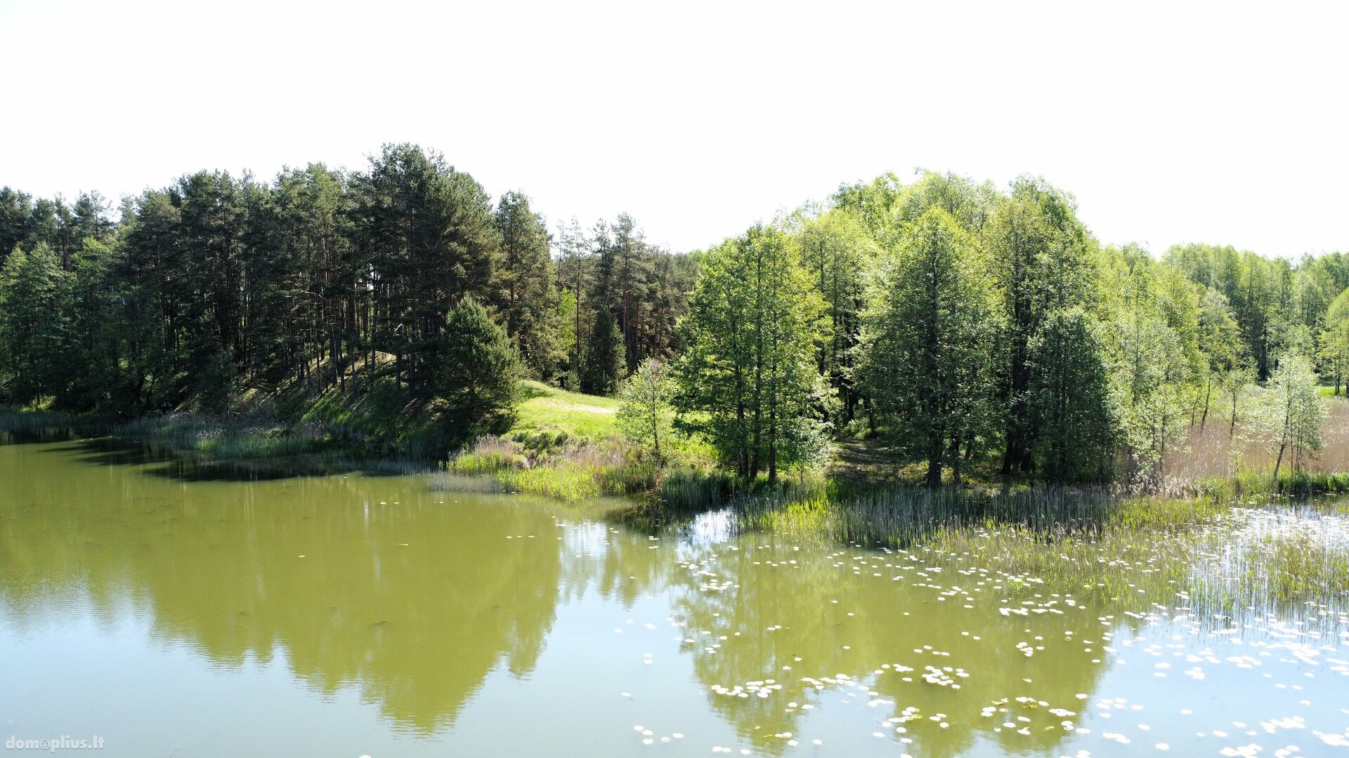 Parduodamas sklypas Lazdijų rajono sav., Papalazdijai II
