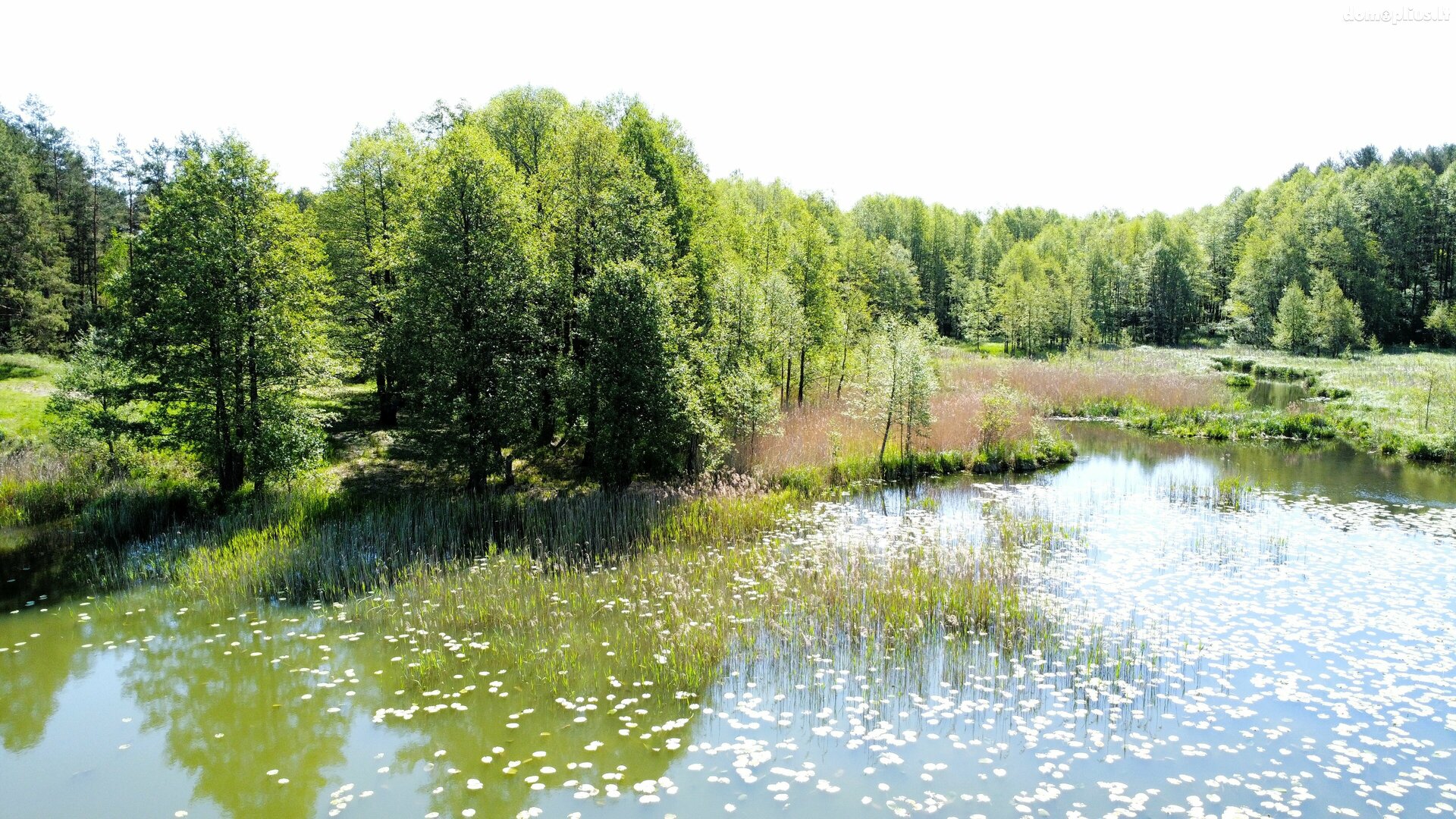 Parduodamas sklypas Lazdijų rajono sav., Papalazdijai II