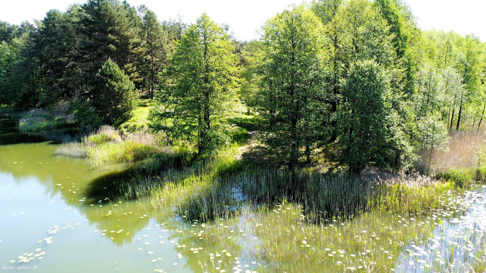 Parduodamas sklypas Lazdijų rajono sav., Papalazdijai II