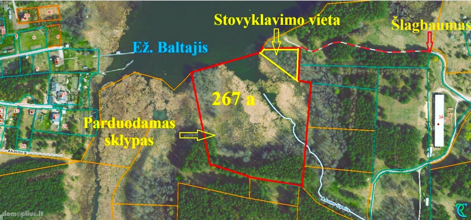Parduodamas sklypas Lazdijų rajono sav., Papalazdijai II
