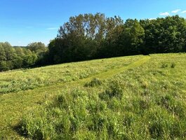 Parduodamas sklypas Alytaus rajono sav., Žaunieriškiuose, Nemuno g.