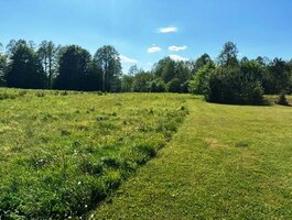 Parduodamas sklypas Alytaus rajono sav., Žaunieriškiuose, Nemuno g.
