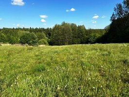 Parduodamas sklypas Alytaus rajono sav., Žaunieriškiuose, Nemuno g.