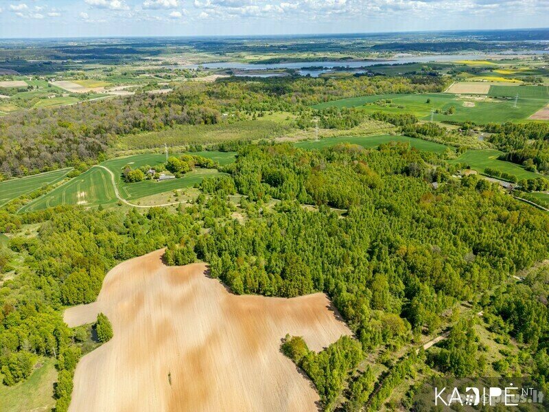 Parduodamas sklypas Kaišiadorių rajono sav., Girelėje
