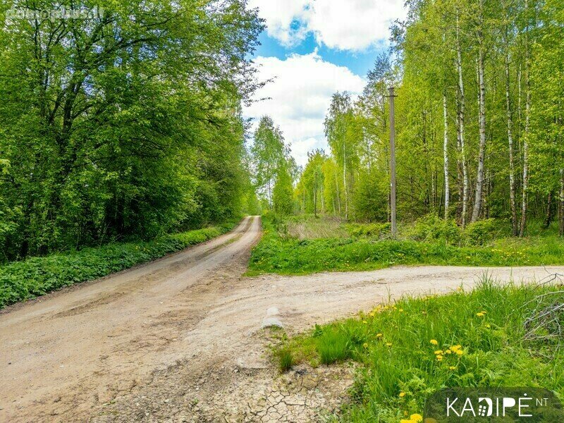 Parduodamas sklypas Kaišiadorių rajono sav., Girelėje