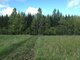 Parduodamas sklypas Kretingos rajono sav., Kuniginėje (18 nuotrauka)