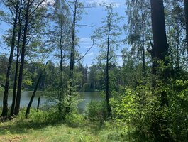 Sklypas Druskininkų sav., Grūte, Ilgio g.