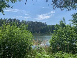Parduodamas sklypas Druskininkų sav., Grūte, Ilgio g.