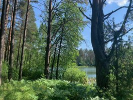 Parduodamas sklypas Druskininkų sav., Grūte, Ilgio g.