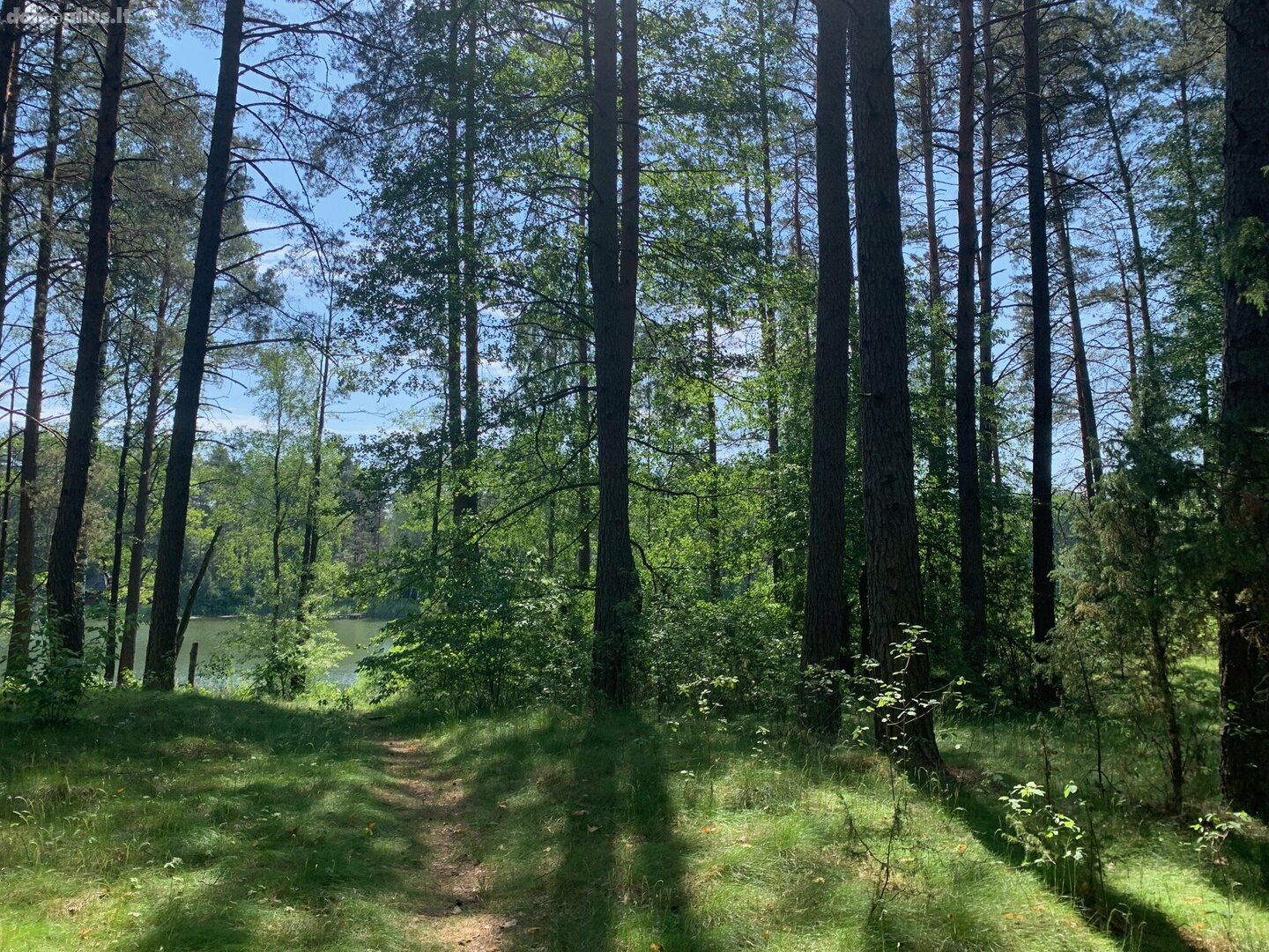 Parduodamas sklypas Druskininkų sav., Grūte, Ilgio g.