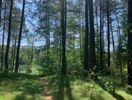 Parduodamas sklypas Druskininkų sav., Grūte, Ilgio g.