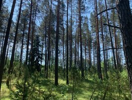 Parduodamas sklypas Druskininkų sav., Grūte, Ilgio g.