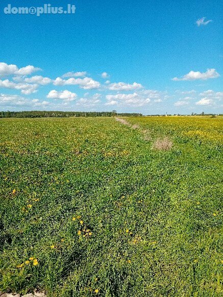 Parduodamas sklypas Šiaulių rajono sav., Vijoliuose, Kadagių g.