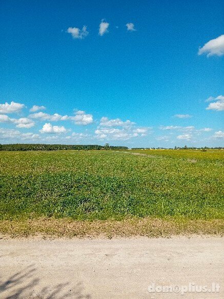 Parduodamas sklypas Šiaulių rajono sav., Vijoliuose, Kadagių g.