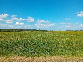 Parduodamas sklypas Šiaulių rajono sav., Vijoliuose, Kadagių g.