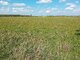Parduodamas sklypas Šiaulių rajono sav., Vijoliuose, Kadagių g. (4 nuotrauka)