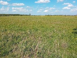 Parduodamas sklypas Šiaulių rajono sav., Vijoliuose, Kadagių g.