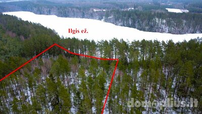 Parduodamas sklypas Lazdijų rajono sav., Bertašiūnuose