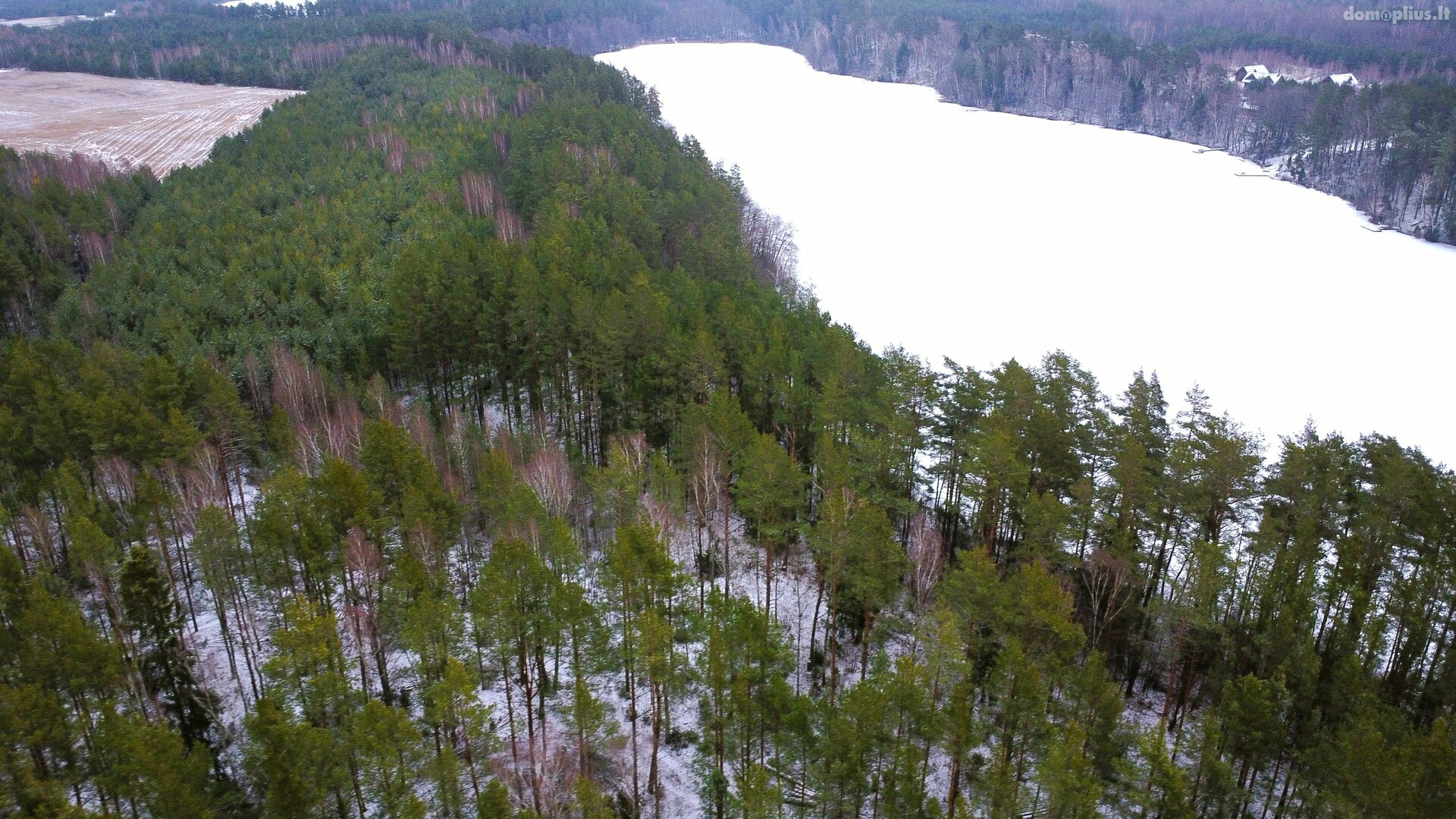 Parduodamas sklypas Lazdijų rajono sav., Bertašiūnuose