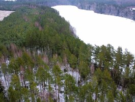 Parduodamas sklypas Lazdijų rajono sav., Bertašiūnuose