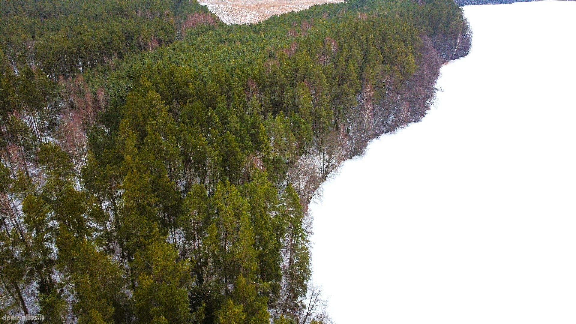 Parduodamas sklypas Lazdijų rajono sav., Bertašiūnuose