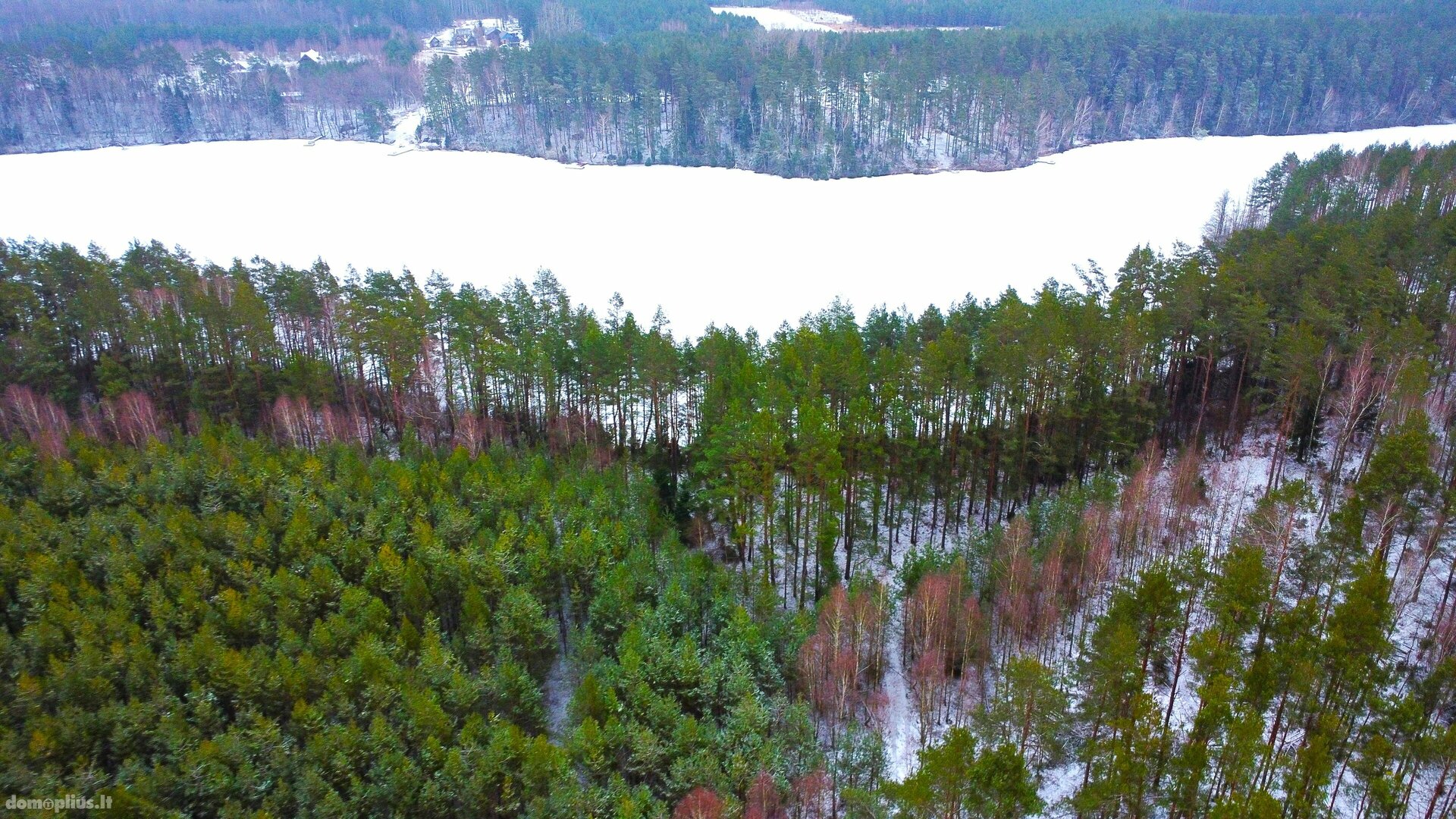 Parduodamas sklypas Lazdijų rajono sav., Bertašiūnuose