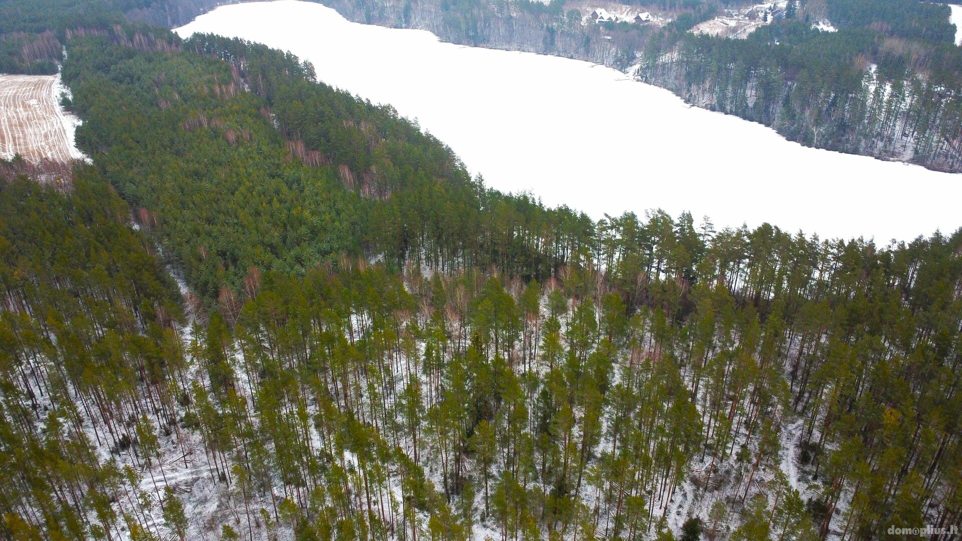 Parduodamas sklypas Lazdijų rajono sav., Bertašiūnuose