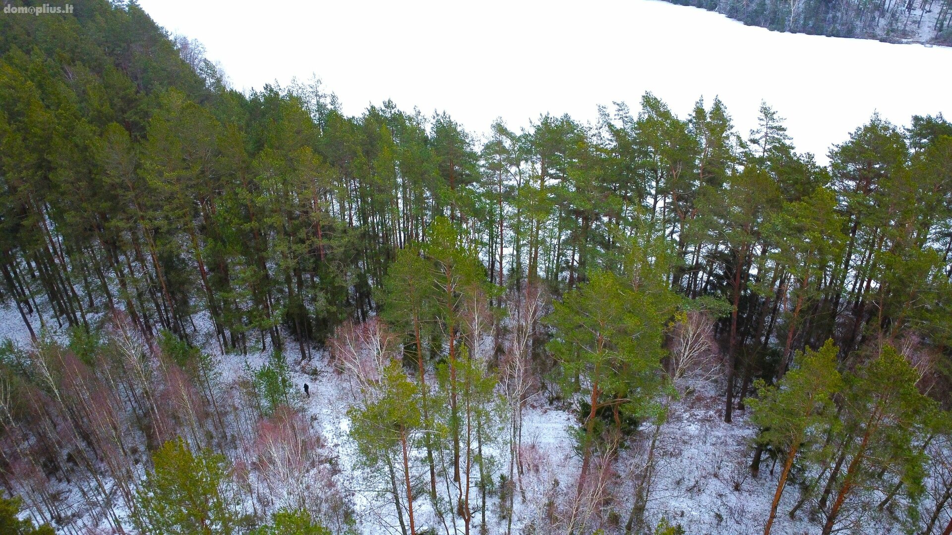 Parduodamas sklypas Lazdijų rajono sav., Bertašiūnuose