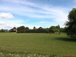Parduodamas sklypas Panevėžio rajono sav., Molainiuose