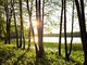 Parduodamas sklypas Lazdijų rajono sav., Radvilonyse, Radvilonių g. (2 nuotrauka)