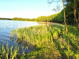 Parduodamas sklypas Lazdijų rajono sav., Radvilonyse, Radvilonių g.