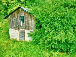 Parduodamas sklypas Klaipėdos rajono sav., Greičiūnuose