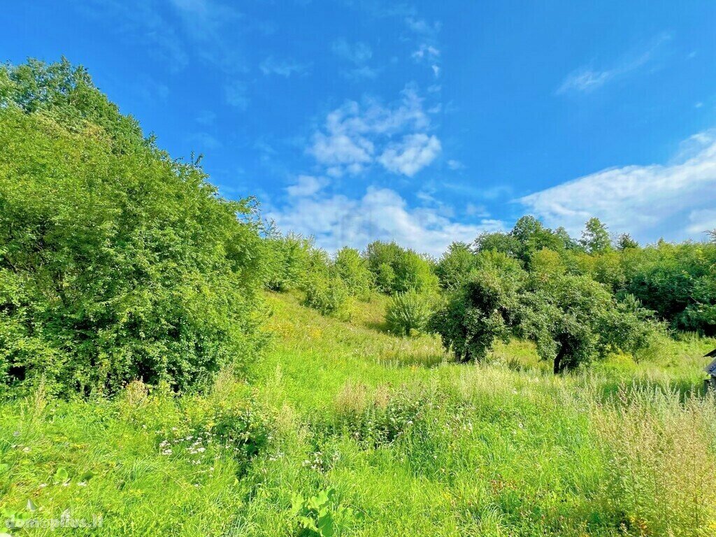 Parduodamas sklypas Klaipėdos rajono sav., Greičiūnuose