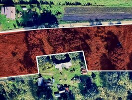 Parduodamas sklypas Klaipėdos rajono sav., Šlapšilėje