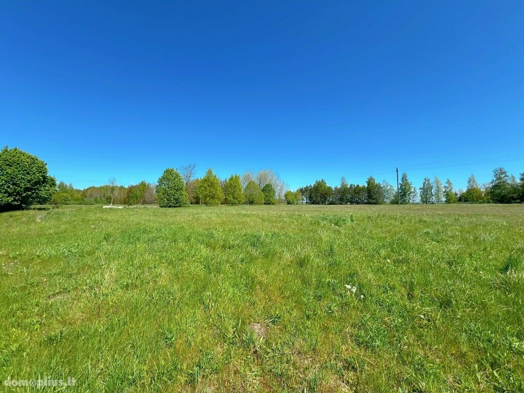 Parduodamas sklypas Klaipėdos rajono sav., Svencelėje
