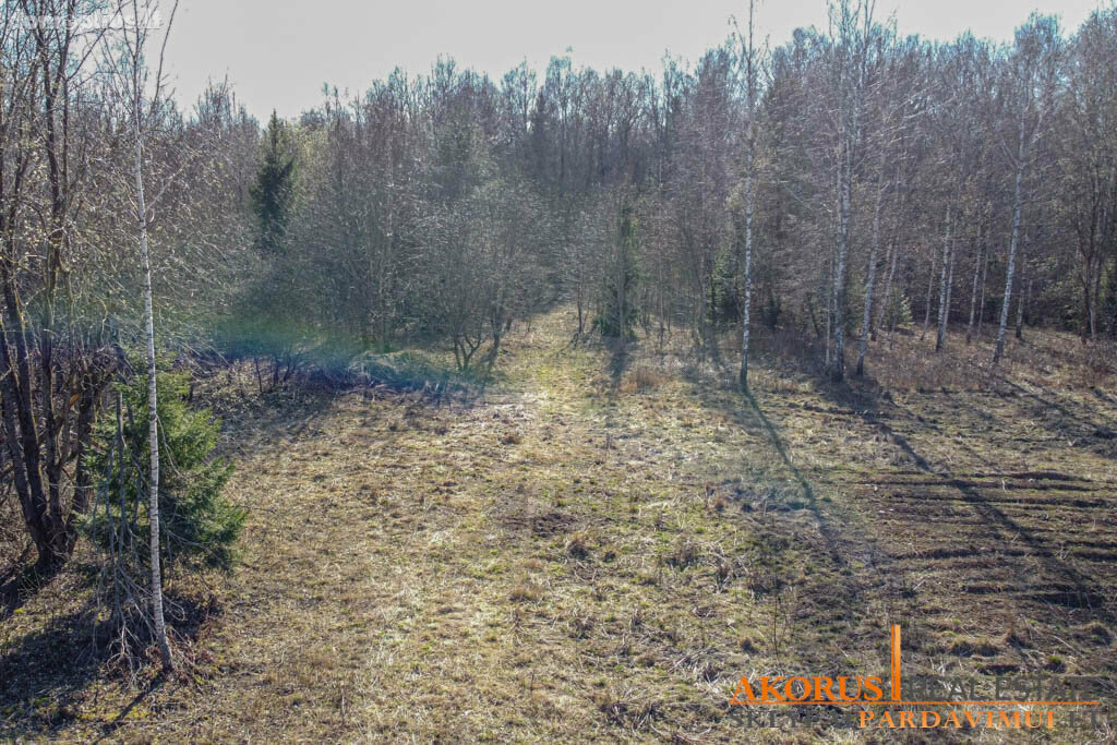 Land for sale Vilniaus rajono sav., Akmeniškėse, Baravykų 6-oji g.