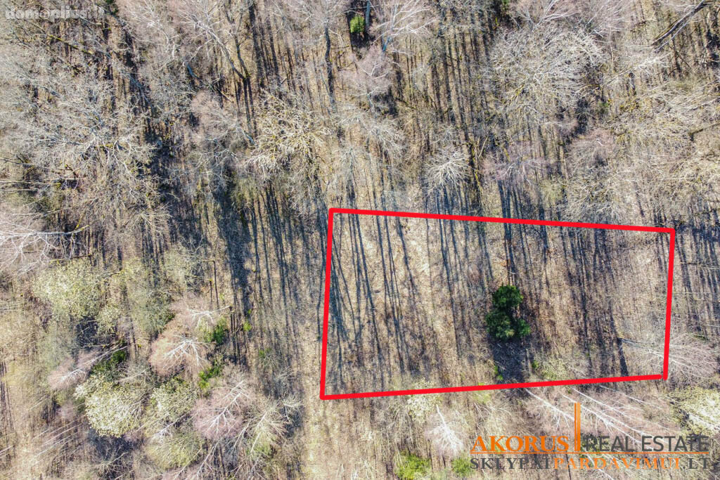 Land for sale Vilniaus rajono sav., Akmeniškėse, Baravykų 6-oji g.