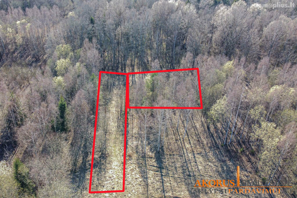 Land for sale Vilniaus rajono sav., Akmeniškėse, Baravykų 6-oji g.