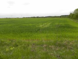 Sklypas Anykščių rajono sav., Pravydžiuose